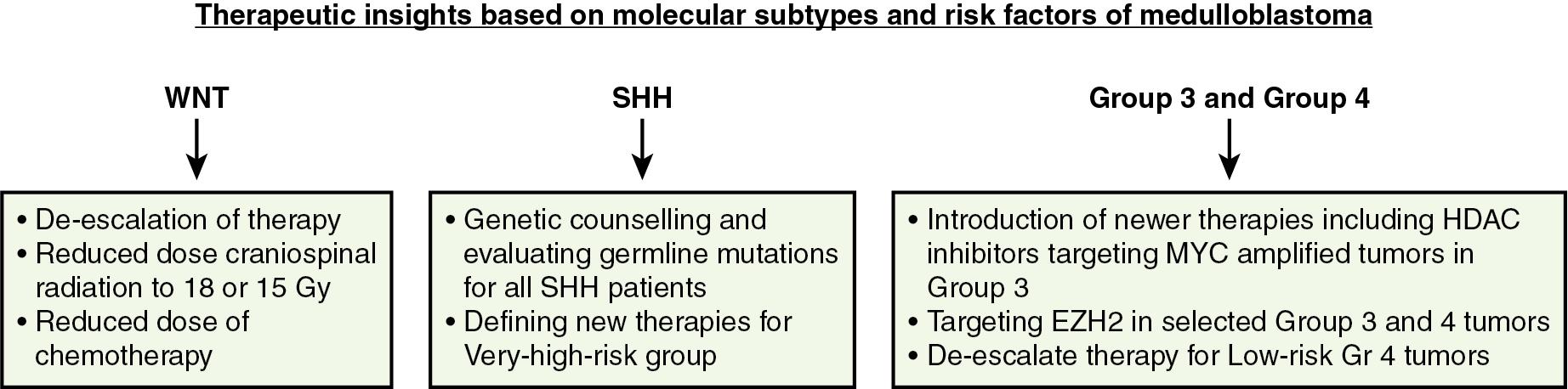 Fig. 50.4, Treatment Strategies Based on Molecular Subtypes and Risk Factors in Medulloblastoma.