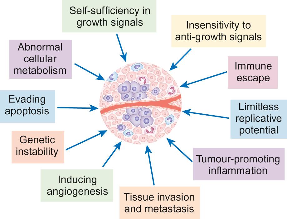 Fig. 22.1, Key features of cancer development.