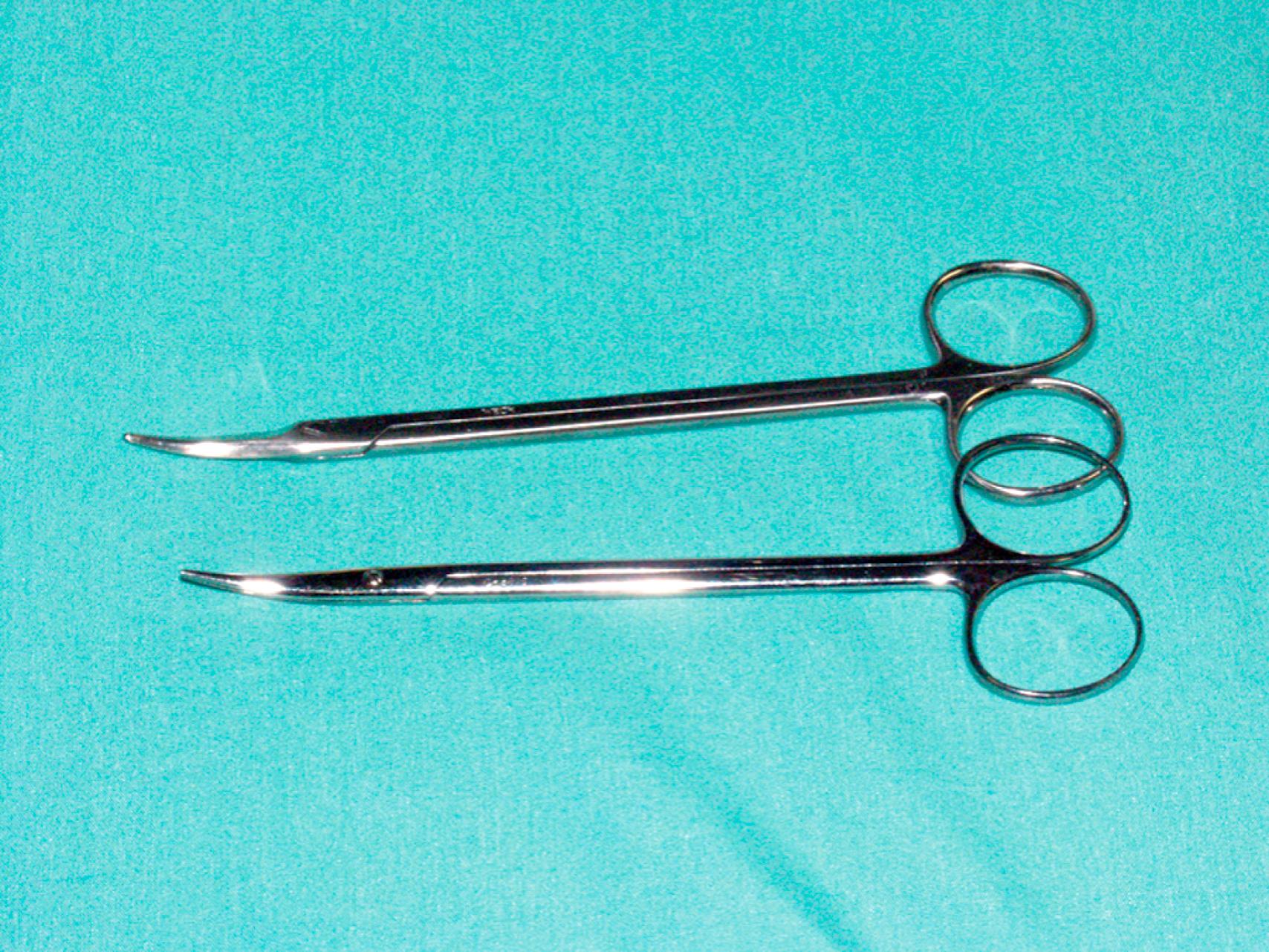 eFigure 61.16, Top to bottom, Church and Metzenbaum scissors.