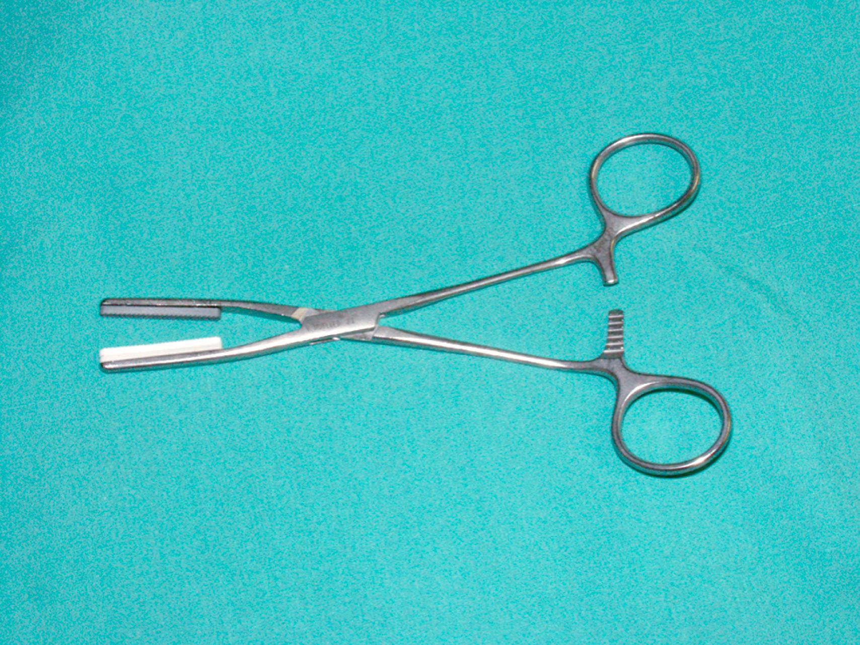 eFigure 61.2, Fogarty aortic clamp.