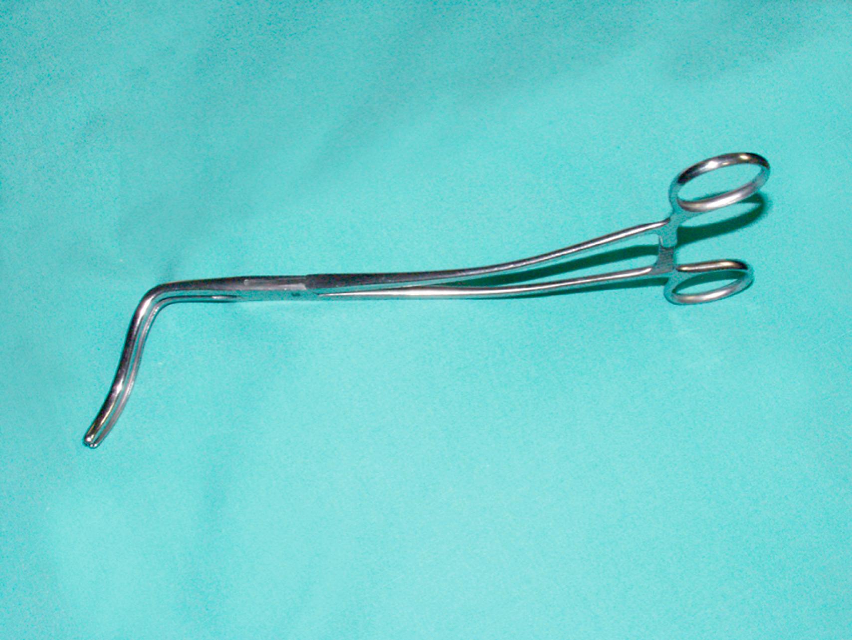 eFigure 61.3, Lambert–Kay aortic clamp.