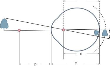 Figure 1.2, A diagram of a reduced human eye. F , Focal points; n , nodal point; p , principal point. The dotted line represents the retina of an enlarged eye.