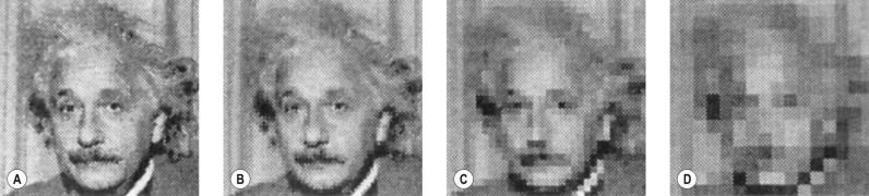 Figure 1.3, A computer display of the face of Albert Einstein, with pixels of different size.