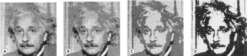 Figure 1.5, A series of computer simulations of the face of Albert Einstein with an extensive gray scale on the left (16 gray scale) and only a 2 gray scale on the right, the latter being similar to a line drawing.