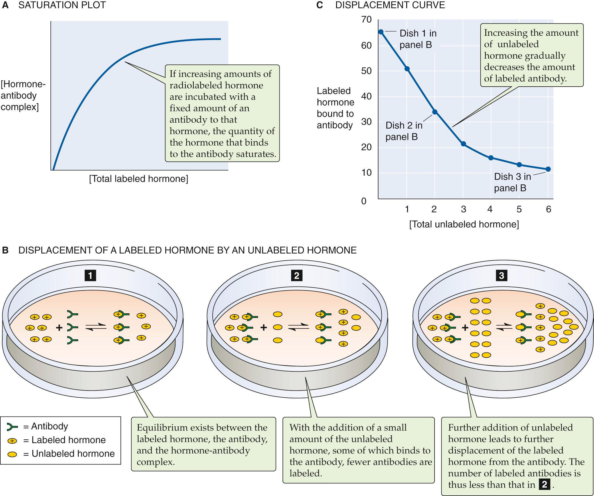 Figure 47-1, Principles of the radioimmunoassay.