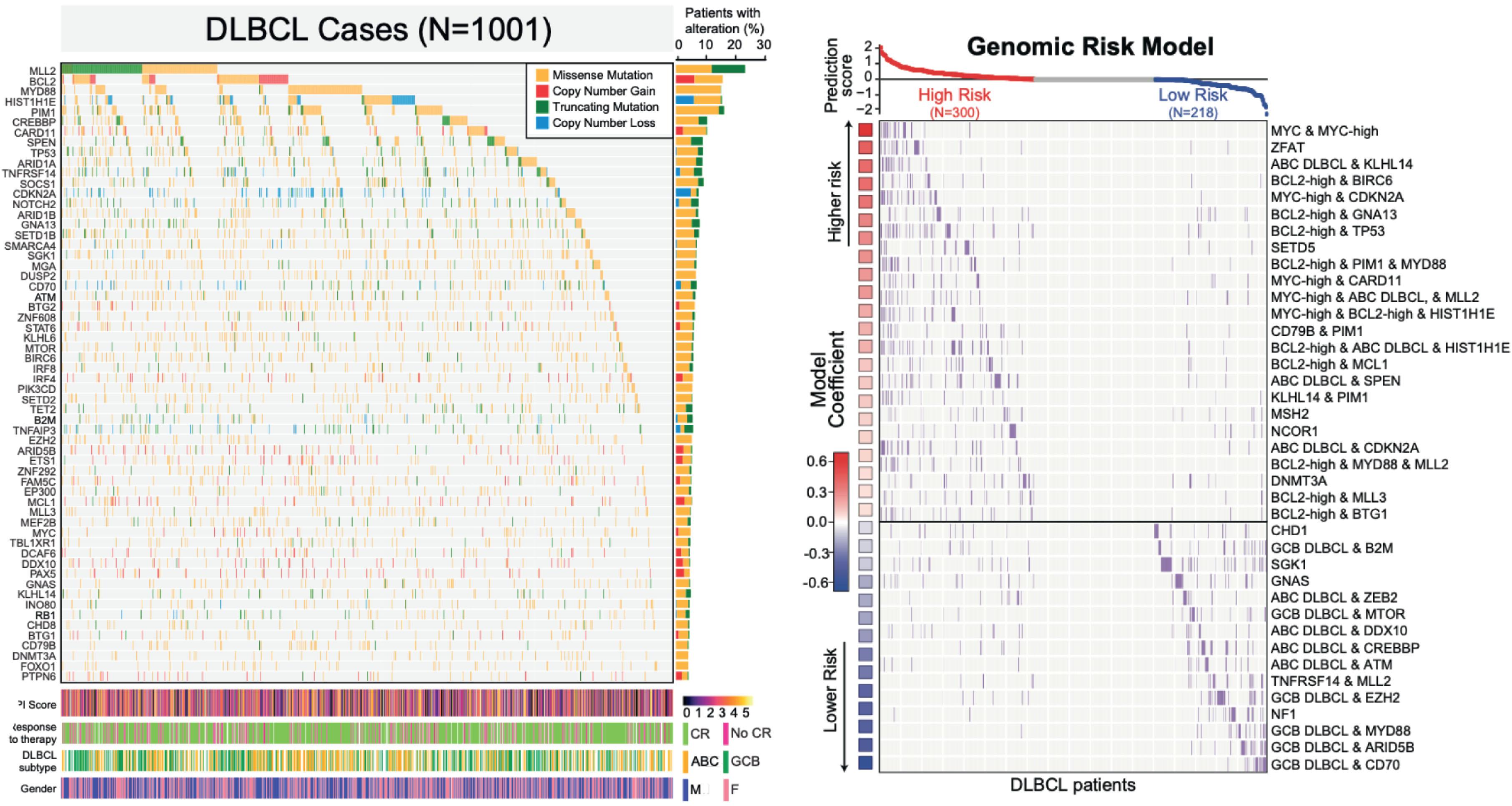 Figure 81.6, GENOMIC EVENTS IN DIFFUSE LARGE B CELL LYMPHOMA AND IMPACT OF MUTATIONS ON SURVIVAL WITH CHEMOIMMUNOTHERAPY.