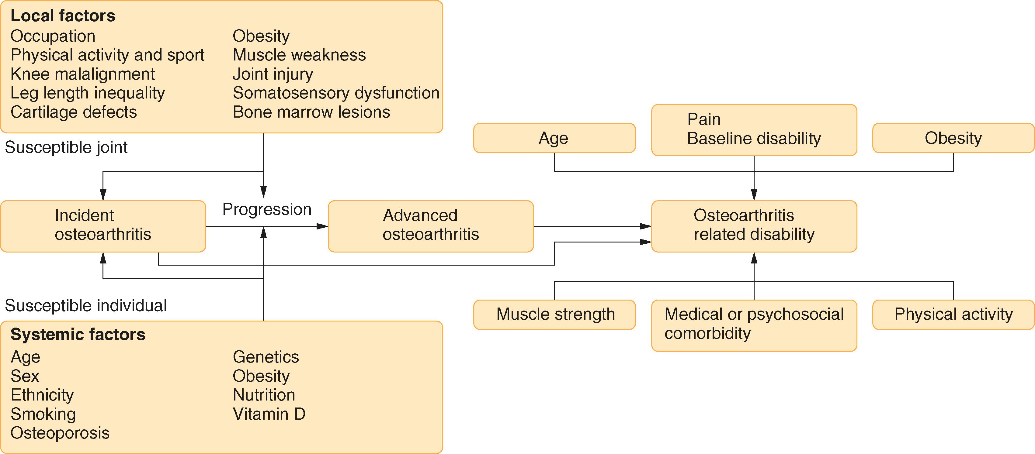 FIGURE 241-2, Risk factors for osteoarthritis of the knee and related disability.