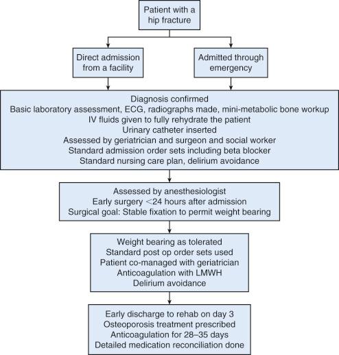 Fig. 22.3, Geriatric Fracture Center or Rochester Model of Care. ECG, Electrocardiogram; IV, intravenous; LMWH, low molecular weight heparin.