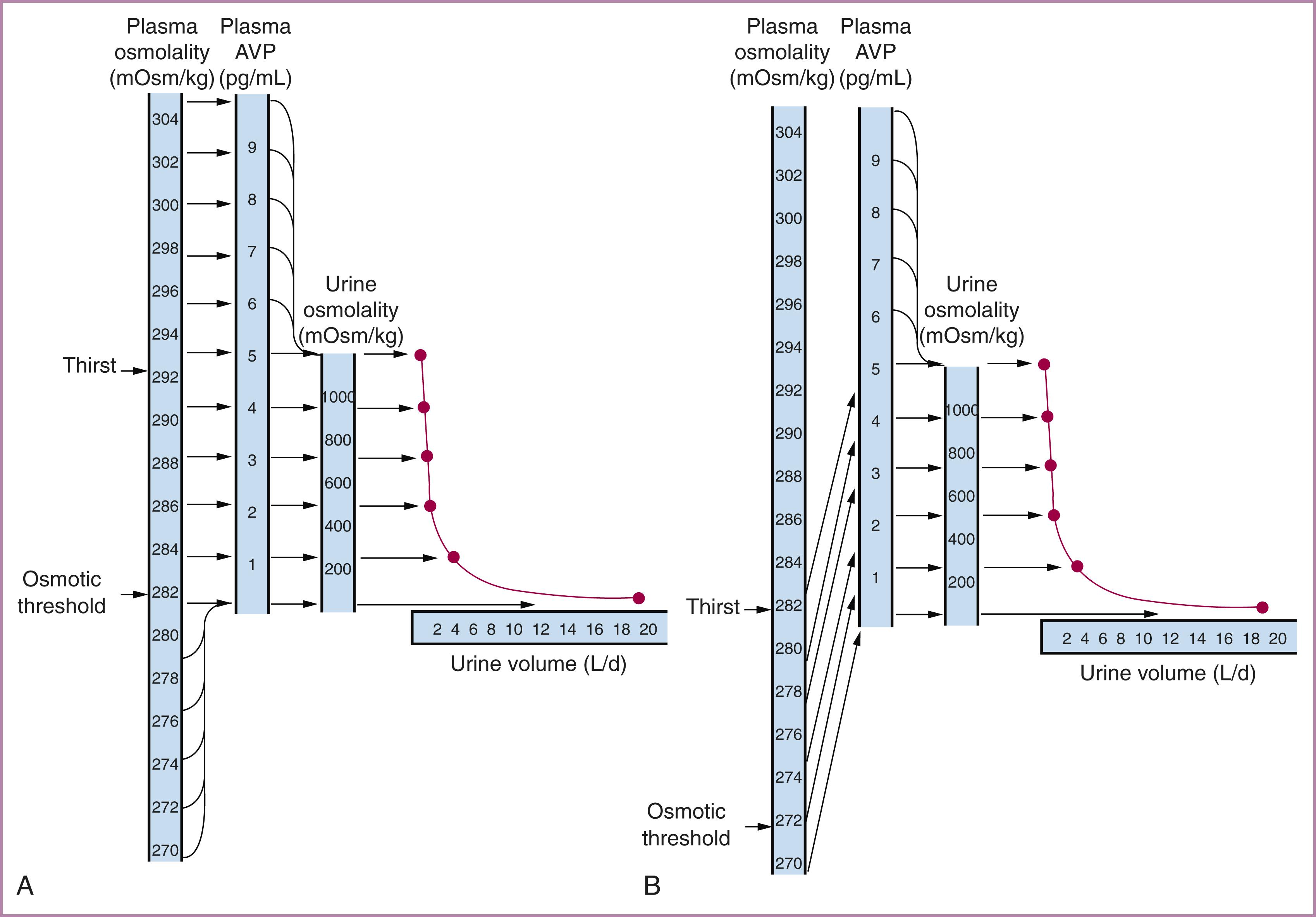 Figure 62.4, Osmolarity and volume regulation.