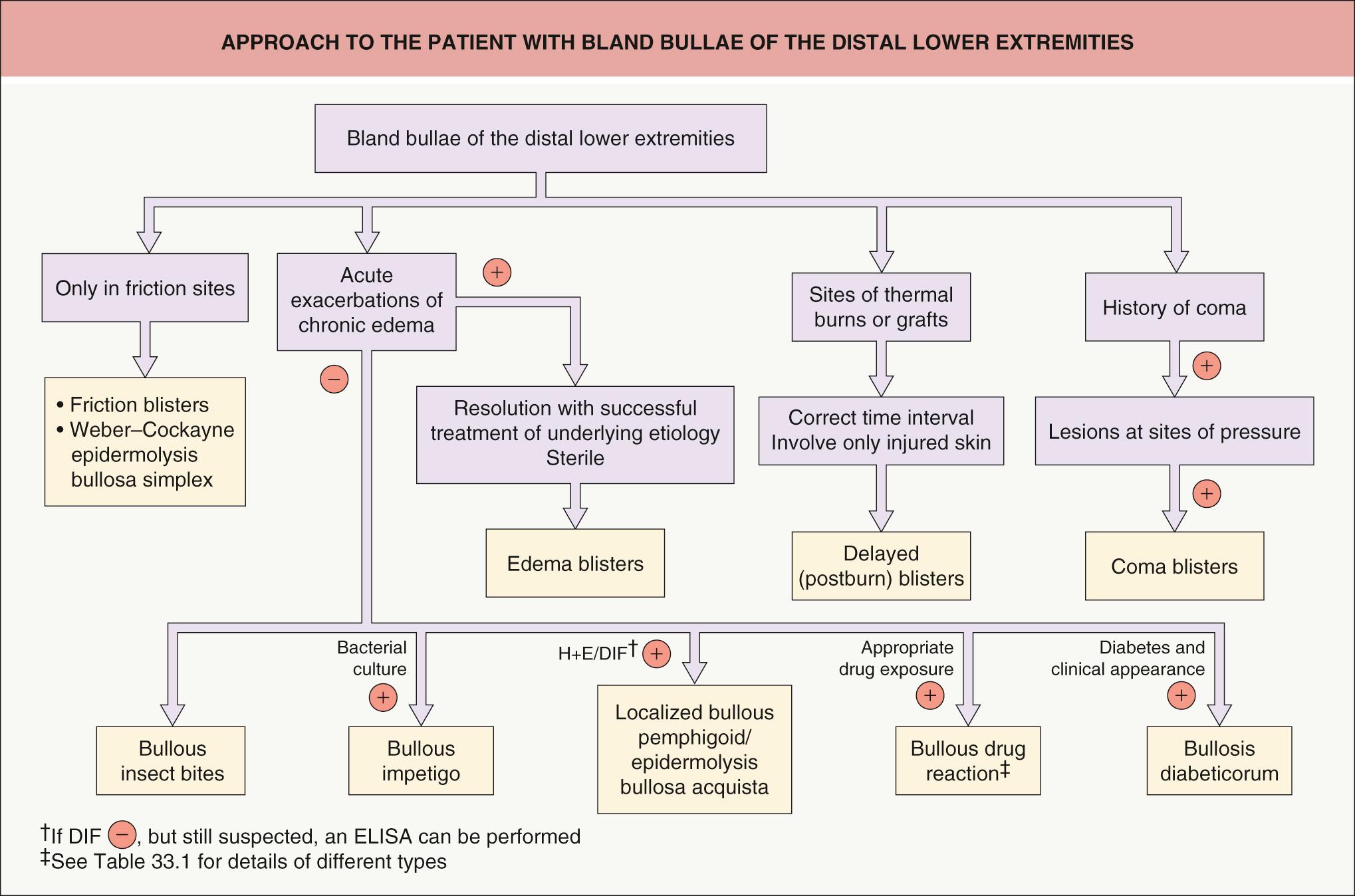 Fig. 33.5, Approach to the patient with bland bullae of the distal lower extremities.