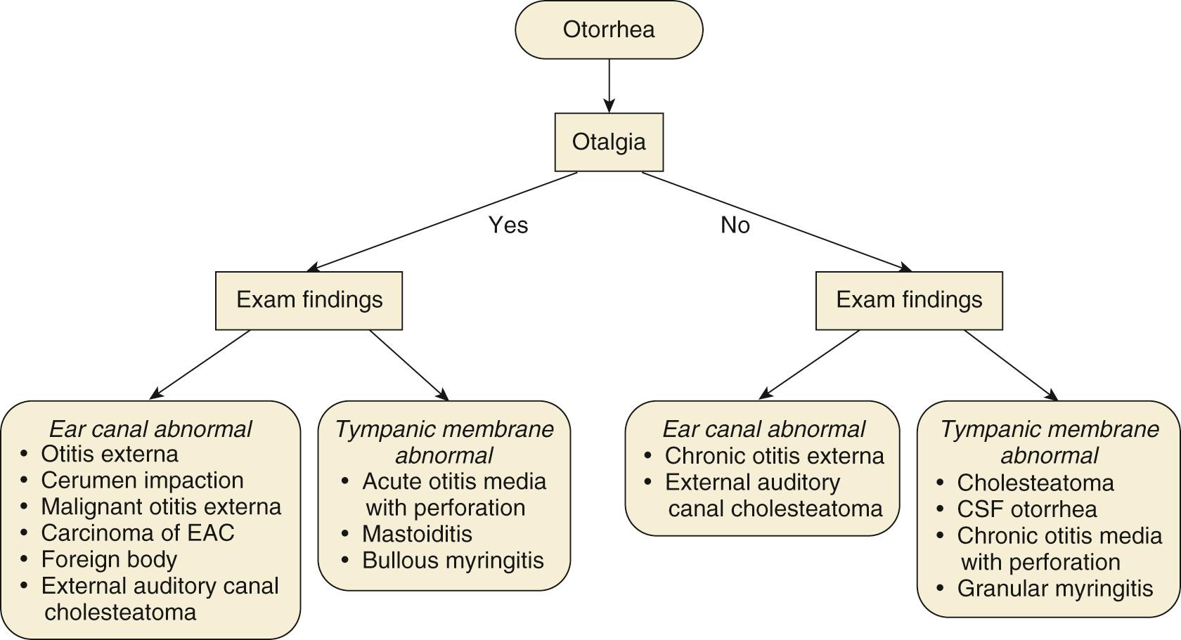 Fig. 137.4, Establishing a differential diagnosis with a chief complaint of otorrhea. This algorithm encourages the clinician to consider the patient complaint in categorical differential diagnosis families. It is not exhaustive. CSF, Cerebrospinal fluid; EAC , external auditory canal.