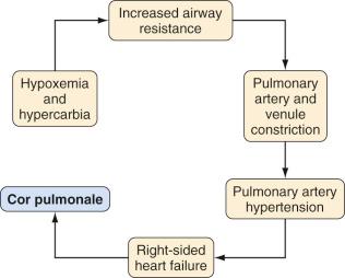 FIGURE 33.3, Children with chronic tonsillar hypertrophy may have long-standing hypoxemia and hypercarbia, which can lead to pulmonary hypertension, right ventricular hypertrophy, and cor pulmonale.