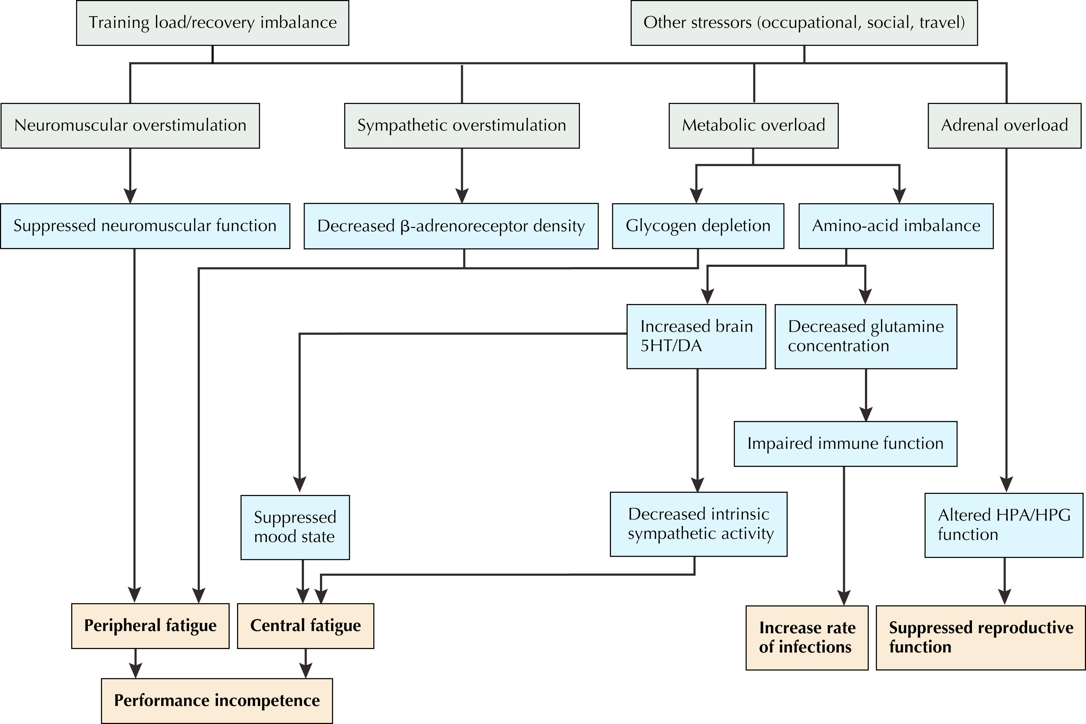 Figure 28.2, Genesis of overtraining syndrome. 5-HT, Serotonin; DA, dopamine.