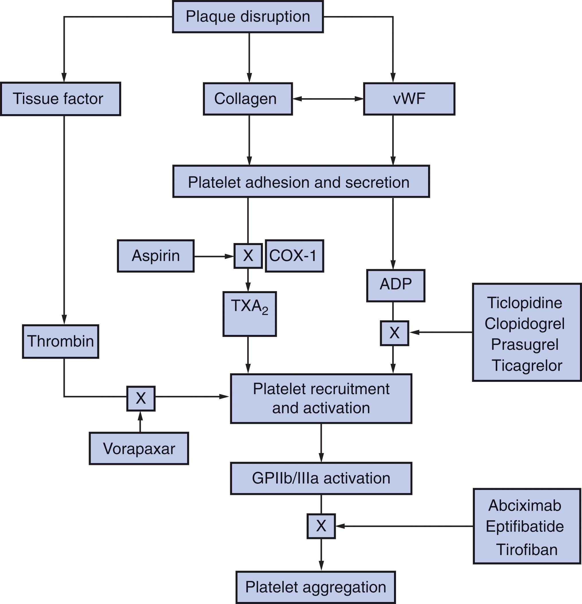 Figure 121.2, SITES OF ACTION OF ANTIPLATELET DRUGS.