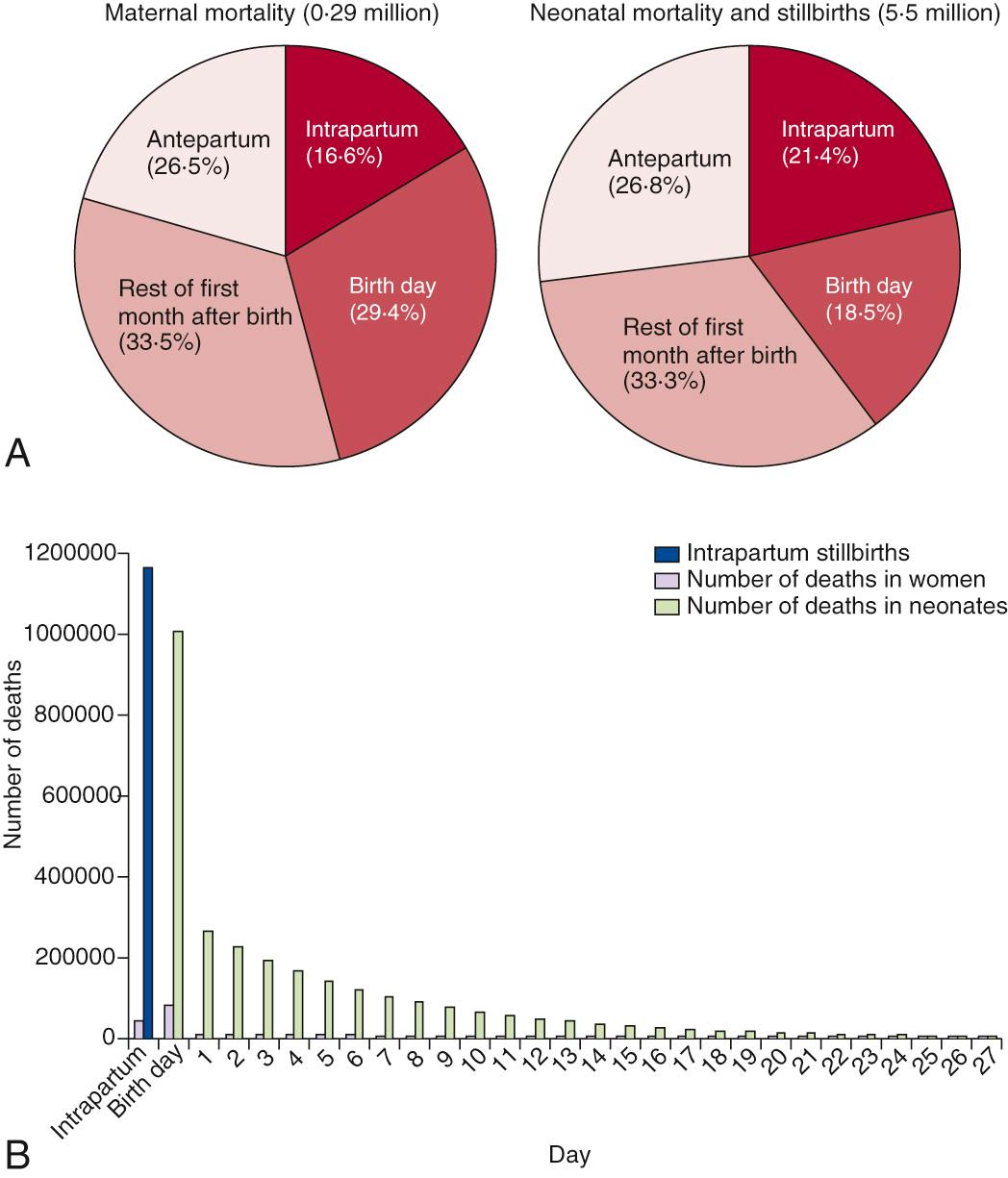 Fig. 112.1, A, Timing of death for women and their babies (third-trimester stillbirths and neonatal deaths) during pregnancy, birth, and the postnatal period. Includes all deaths of mothers and their babies from 28 wk of gestation up to 28 days of life. B, Number of deaths during labor and the 1st month after birth of women and their babies (intrapartum stillbirths and neonates). Insufficient data were available to accurately assign the day of death for the 1.4 million antepartum stillbirths and 63,000 maternal deaths occurring during the last trimester of pregnancy (before the onset of labor).