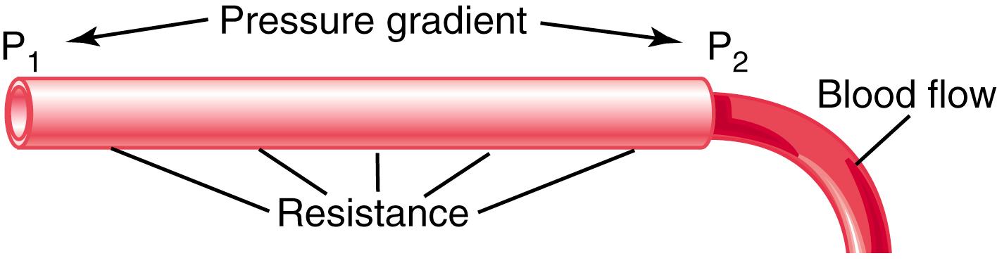 Figure 14-3, Interrelationships of pressure, resistance, and blood flow. P 1 , Pressure at the origin of the vessel; P 2 , pressure at the other end of the vessel.