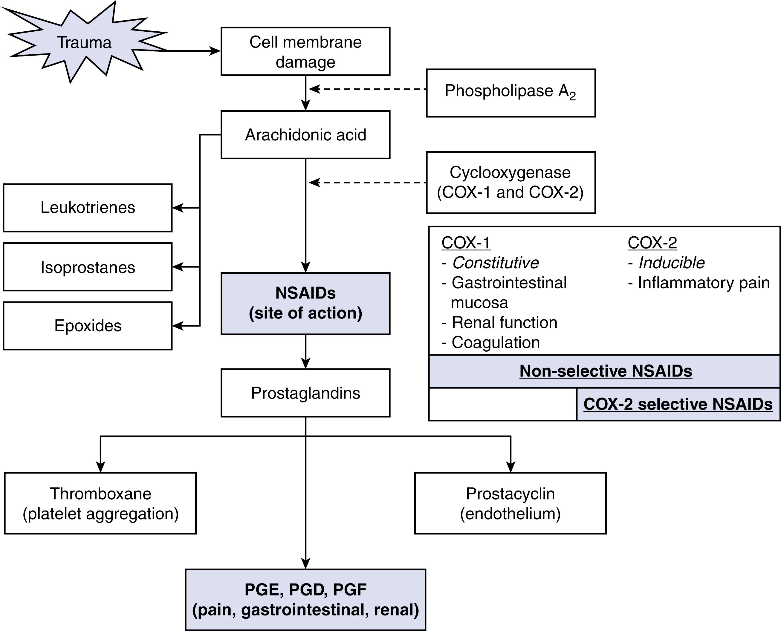 Fig. 3.3, Site of action of nonsteroidal antiinflammatory drugs. COX-1, Cyclooxygenase-1; COX-2, cyclooxygenase-2; PGD, prostaglandin D; PGE, prostaglandin E; PGF, prostaglandin F.