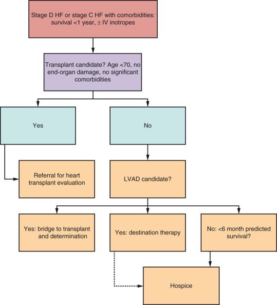 Fig. 52.2, Decision tree for patients with stage D heart failure or stage C with comorbidities and <1 year predicted survival. HF, Heart failure; IV, intravenous; LVAD, left ventricular assist device.