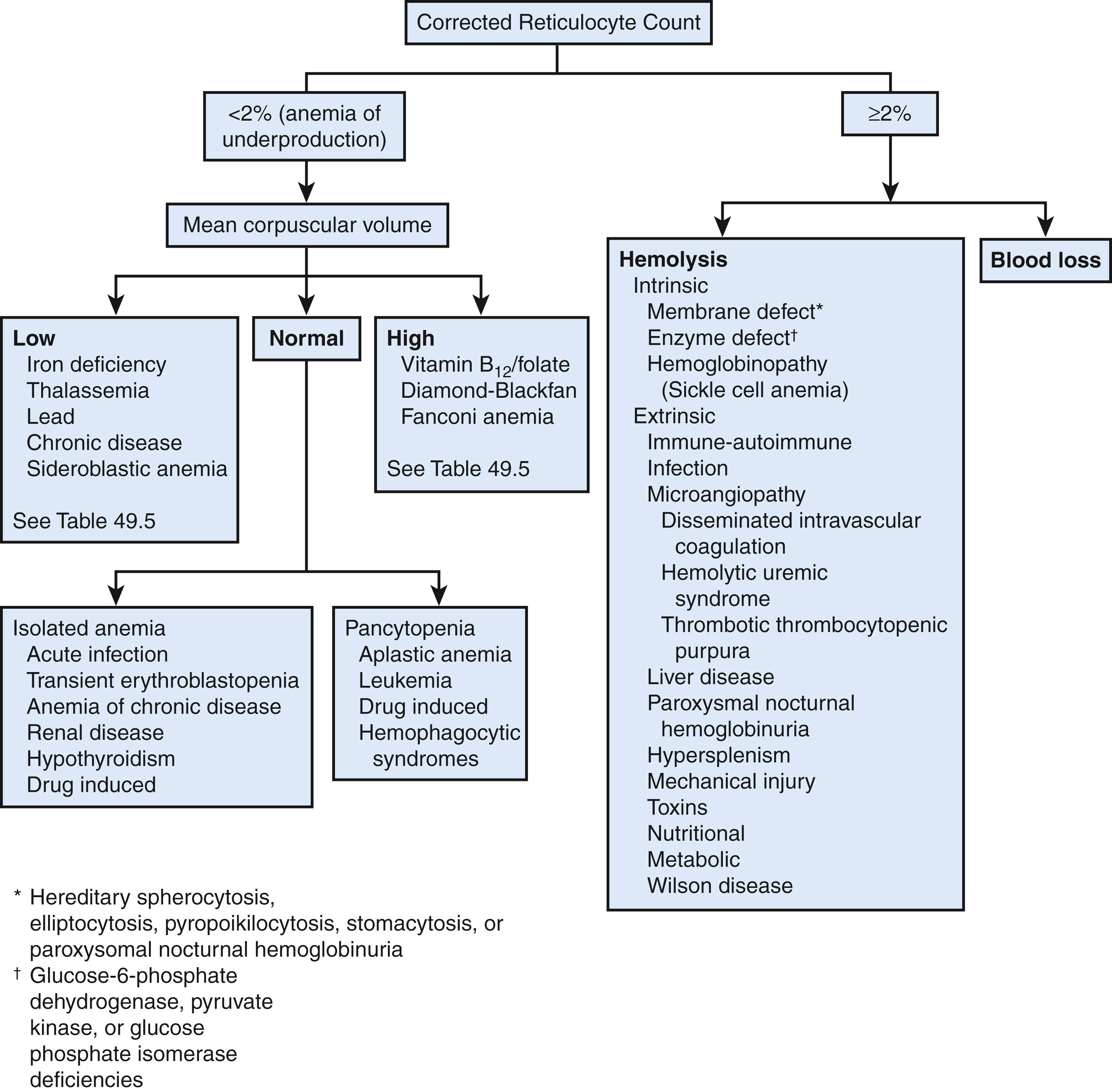 Fig. 49.1, Diagnostic approach to anemia.