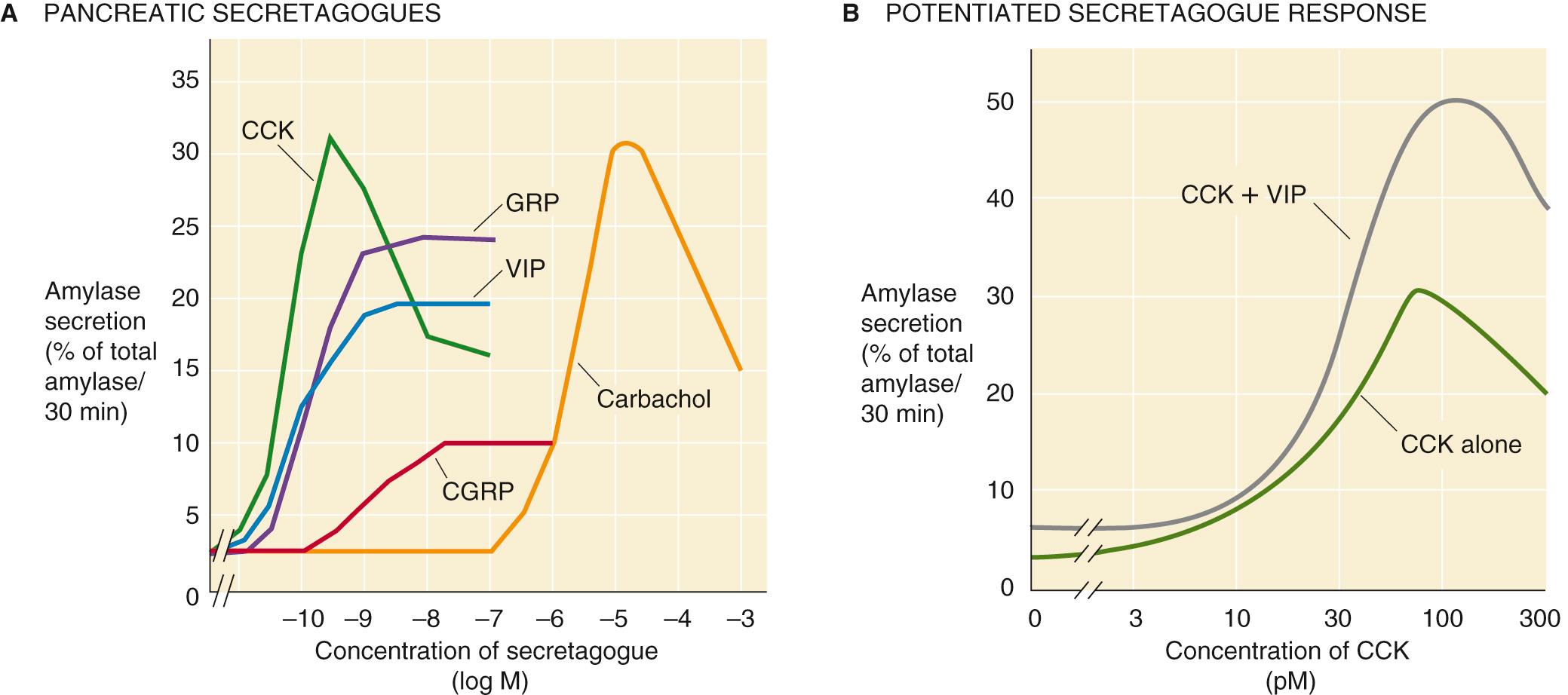 Figure 43-3, Effects of neurohumoral agents on amylase release from isolated pancreatic acini.