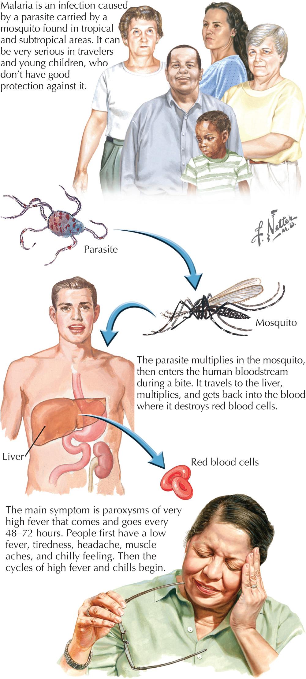 Fig. 46.2, Treatment of Malaria.