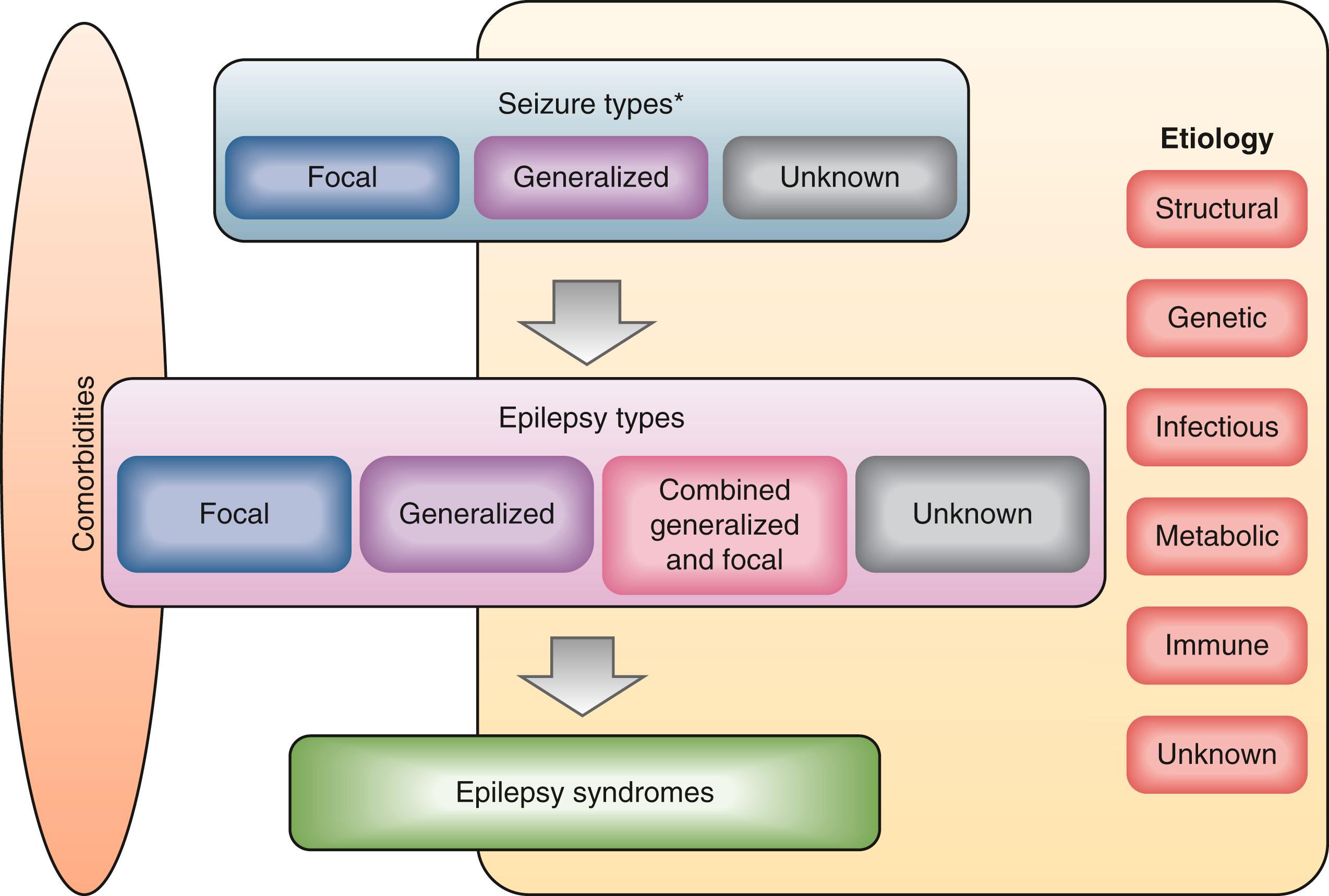 Fig. 39.2, The International League Against Epilepsy (ILAE) 2017 Classification of the Epilepsies. ∗Denotes onset of seizure.