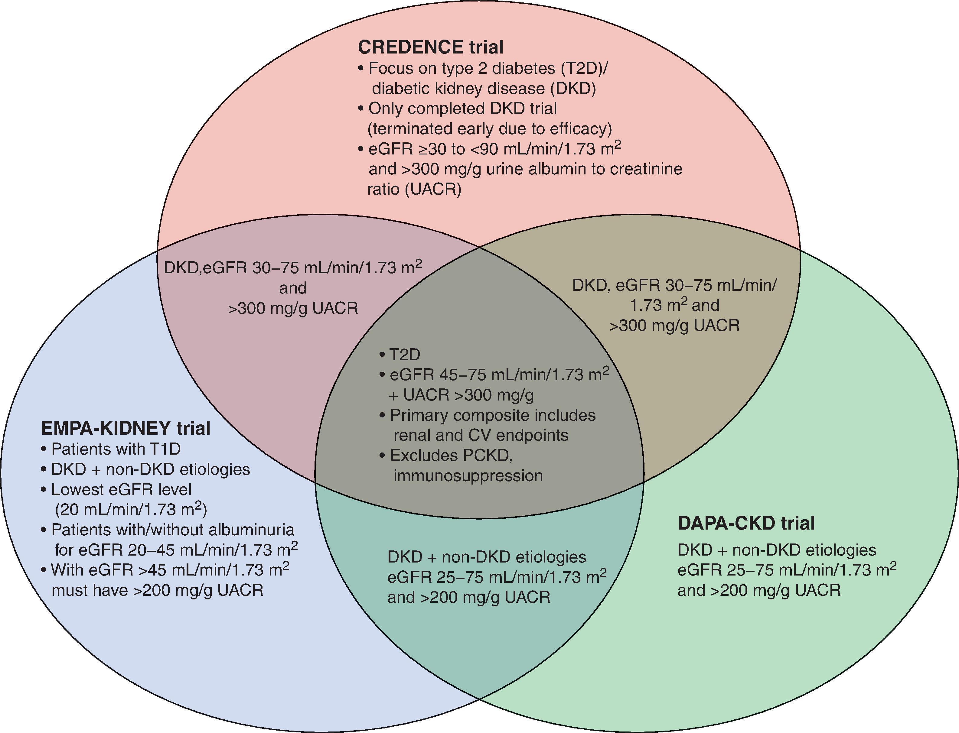 Fig. 26.6, Study populations and areas of overlap for clinical trials with sodium-glucose cotransporter 2 inhibitors in patients with chronic kidney disease. (From Cherney DZ, Odutayo A, Aronson R, Ezekowitz J, Parker JD. Sodium Glucose Cotransporter-2 Inhibition and Cardiorenal Protection: JACC Review Topic of the Week. J Am Coll Cardiol. 2019;74(20):2511–2524.)