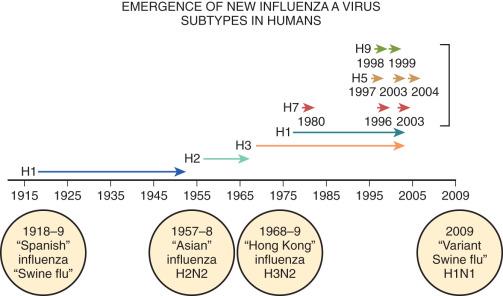 Figure 8.8, Neuraminidase and hemagglutinin expression of Influenza correlates with epidemic outbreaks.