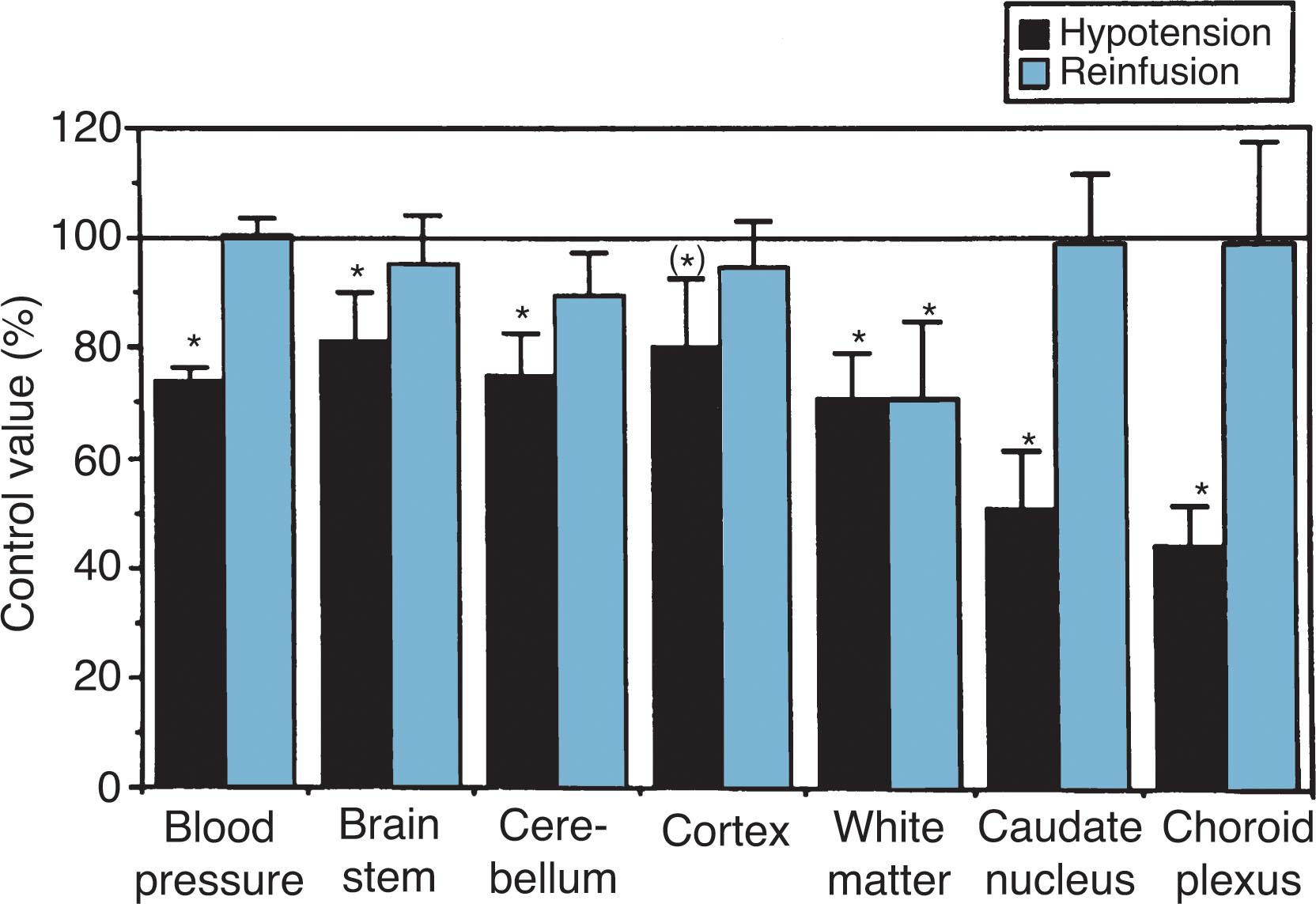 Fig. 16.11, Mean arterial blood pressure and regional cerebral blood flow (CBF; percentage of control values, mean ± SE) after hemorrhagic hypotension and reinfusion in the preterm lamb. The approximately 25% reduction in blood pressure resulted in significant lowering of CBF in all regions. However, only in cerebral white matter CBF failed to return to baseline levels on reinfusion.