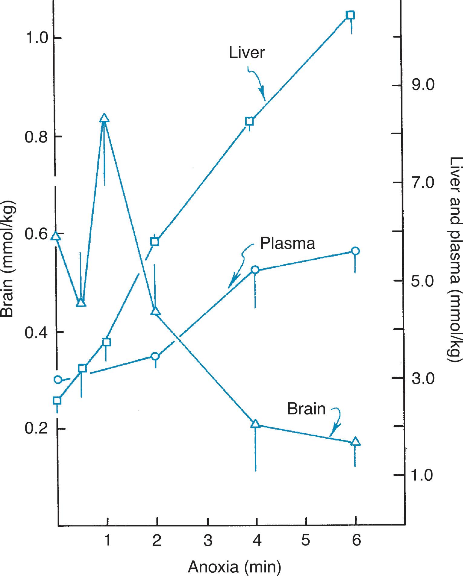 Fig. 16.4, Biochemical effects of hypoxemia. Concentrations of glucose in brain, liver, and plasma of newborn mice as a function of duration of anoxia (nitrogen breathing).