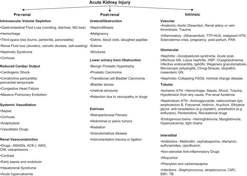 Figure 76.1, Etiology of AKI based on anatomical categories (pre/intrinsic/post).