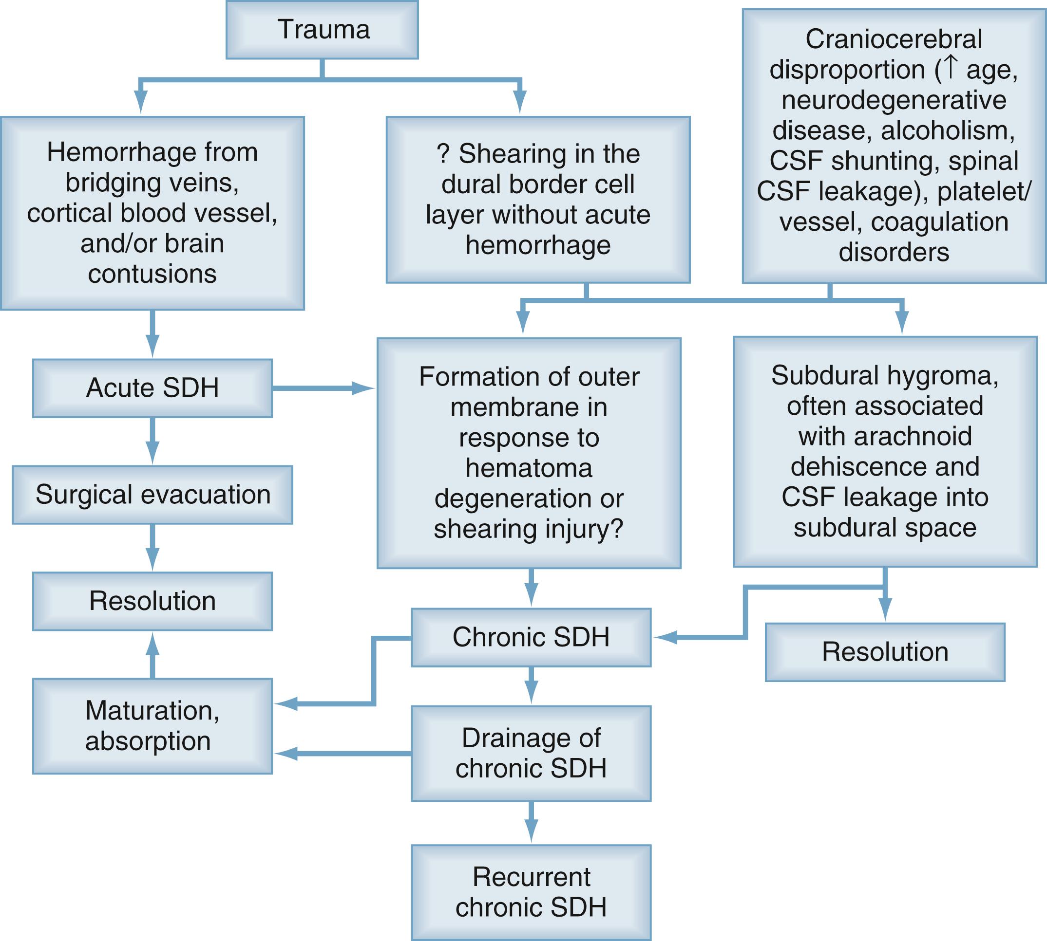 Figure 46.1, Flowchart of clinical factors that contribute to formation of a chronic subdural hematoma. CSF, Cerebrospinal fluid; SDH , subdural hematoma.