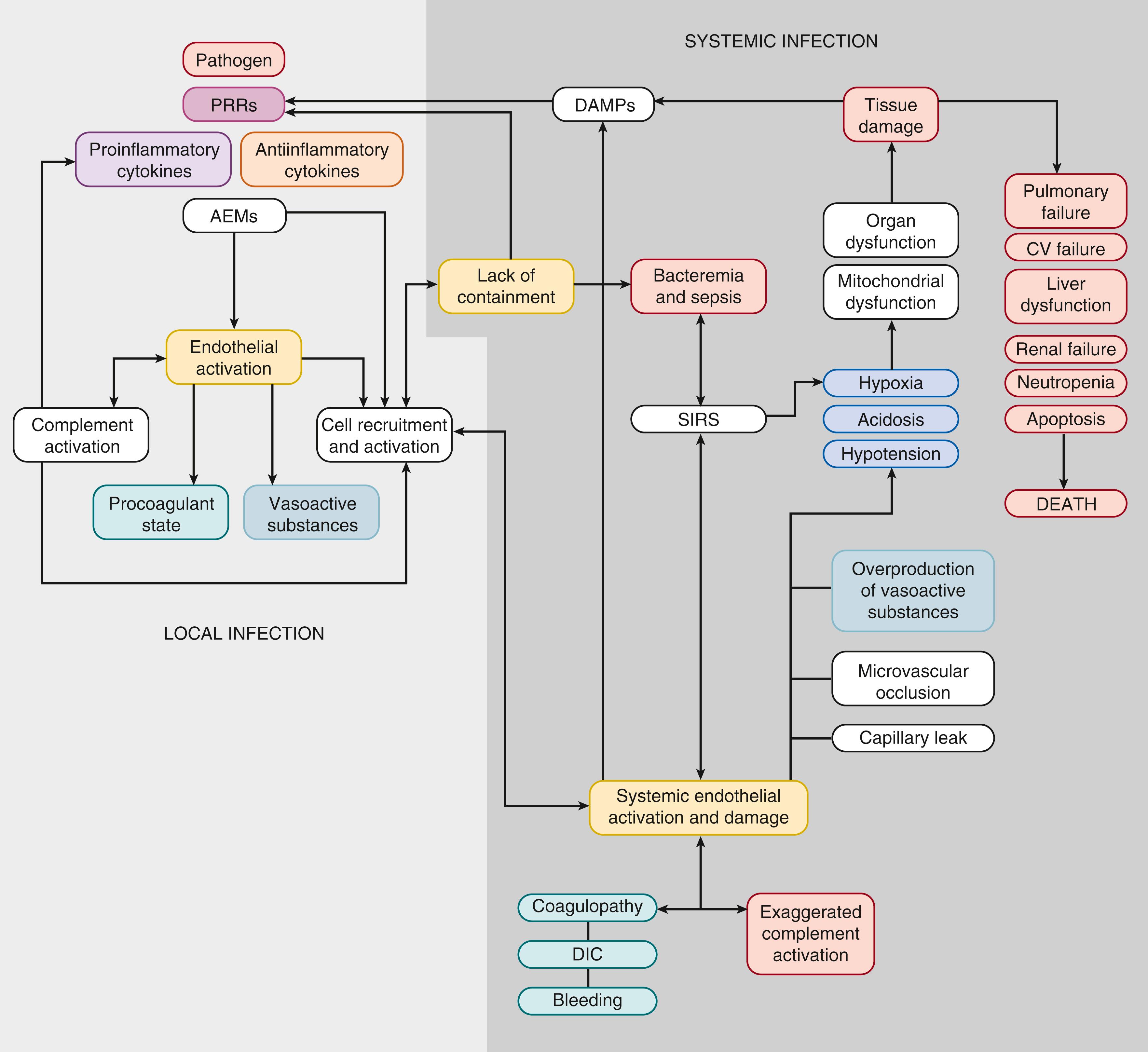 Fig. 151.5, Pathophysiology of neonatal sepsis and septic shock. AEMs, Antimicrobial effector mechanisms; CV, cardiovascular; DAMPs , damage-associated molecular patterns; DIC , disseminated intravascular coagulation; PRRs, pattern recognition receptors; SIRS, systemic inflammatory response syndrome.