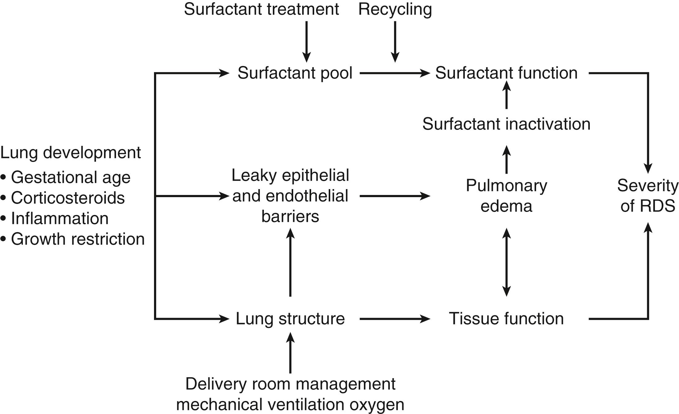 Fig. 157.12, Flow diagram of major variables that contribute to the severity of respiratory distress syndrome (RDS) .