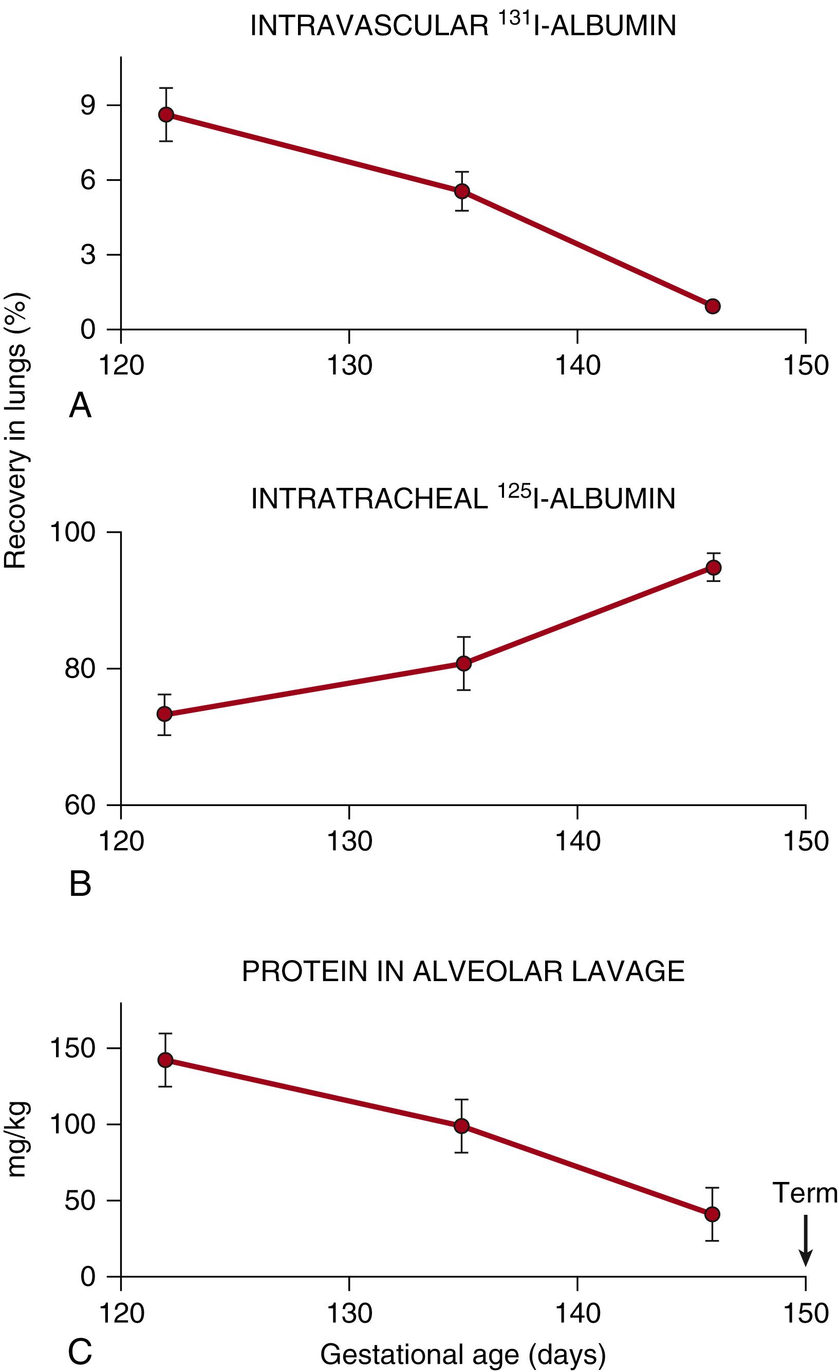 Fig. 157.10, Effect of gestational age on the movement of labeled albumin and protein in and out of the air spaces of preterm lambs. Peak ventilatory pressures were held constant at the three gestational ages for 3 hours of ventilation. The more-preterm lambs were treated with surfactant to achieve similar ventilatory pressures. (A) 131 I-albumin was given into the vascular space, and the net recovery in alveolar washes and in the total lung (sum of parenchyma plus alveolar wash) decreased as gestational age increased toward term. (B) 125 I-albumin was given into the airways at birth and the amount that was lost from the lungs decreased as gestation increased. (C) The total amount of protein in alveolar washes decreased as gestation increased.