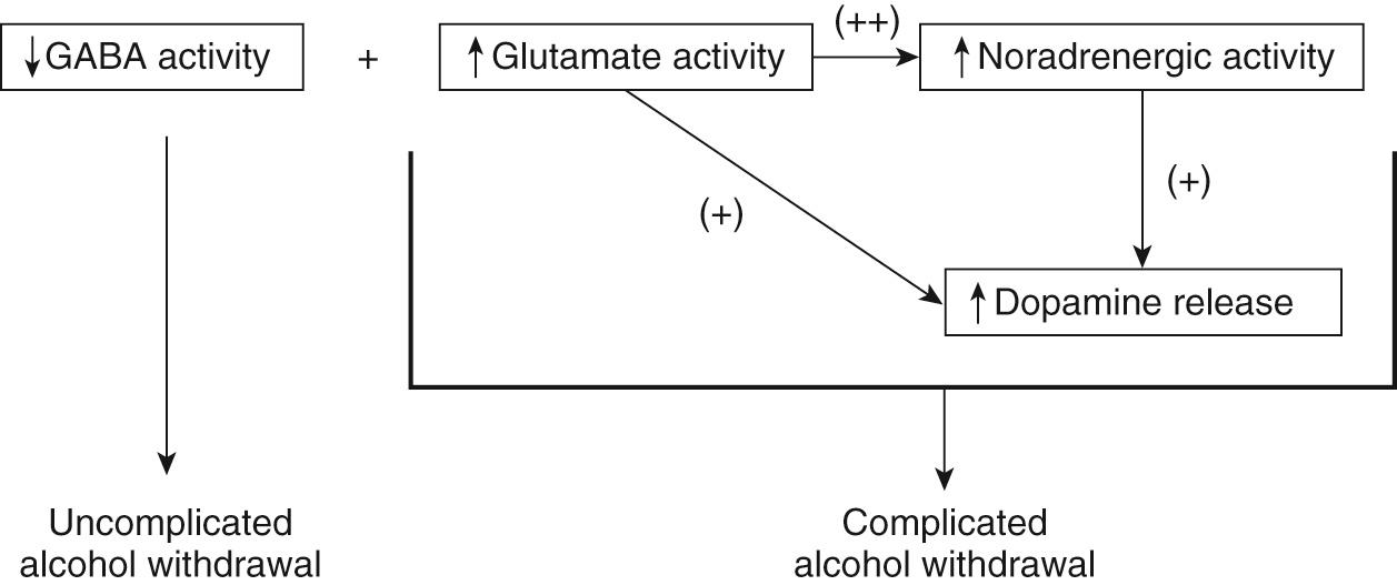 Figure 14-1, Neurotransmitters affected in alcohol withdrawal syndrome.
