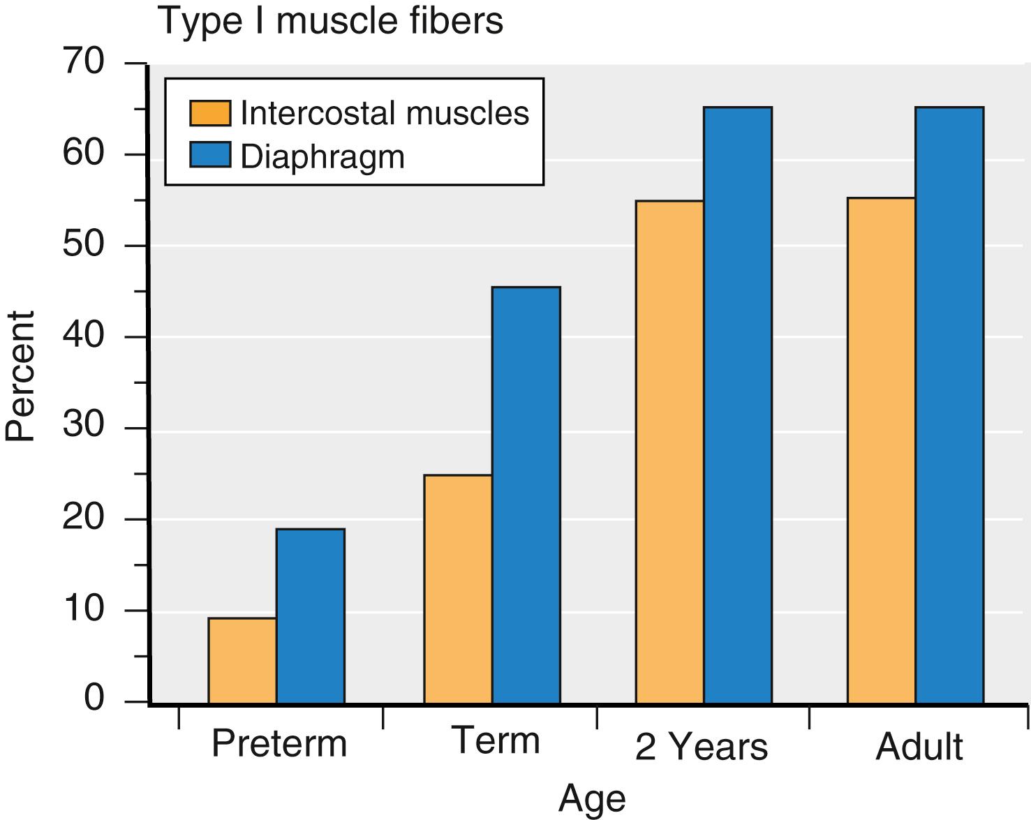 Fig. 77.2, The composition of the diaphragm and intercostal muscles significantly changes during the first 2 years of life. The number of type I muscle fibers is inversely related to age and may account, in part, for the ease of inducing respiratory fatigue as the work of breathing increases.
