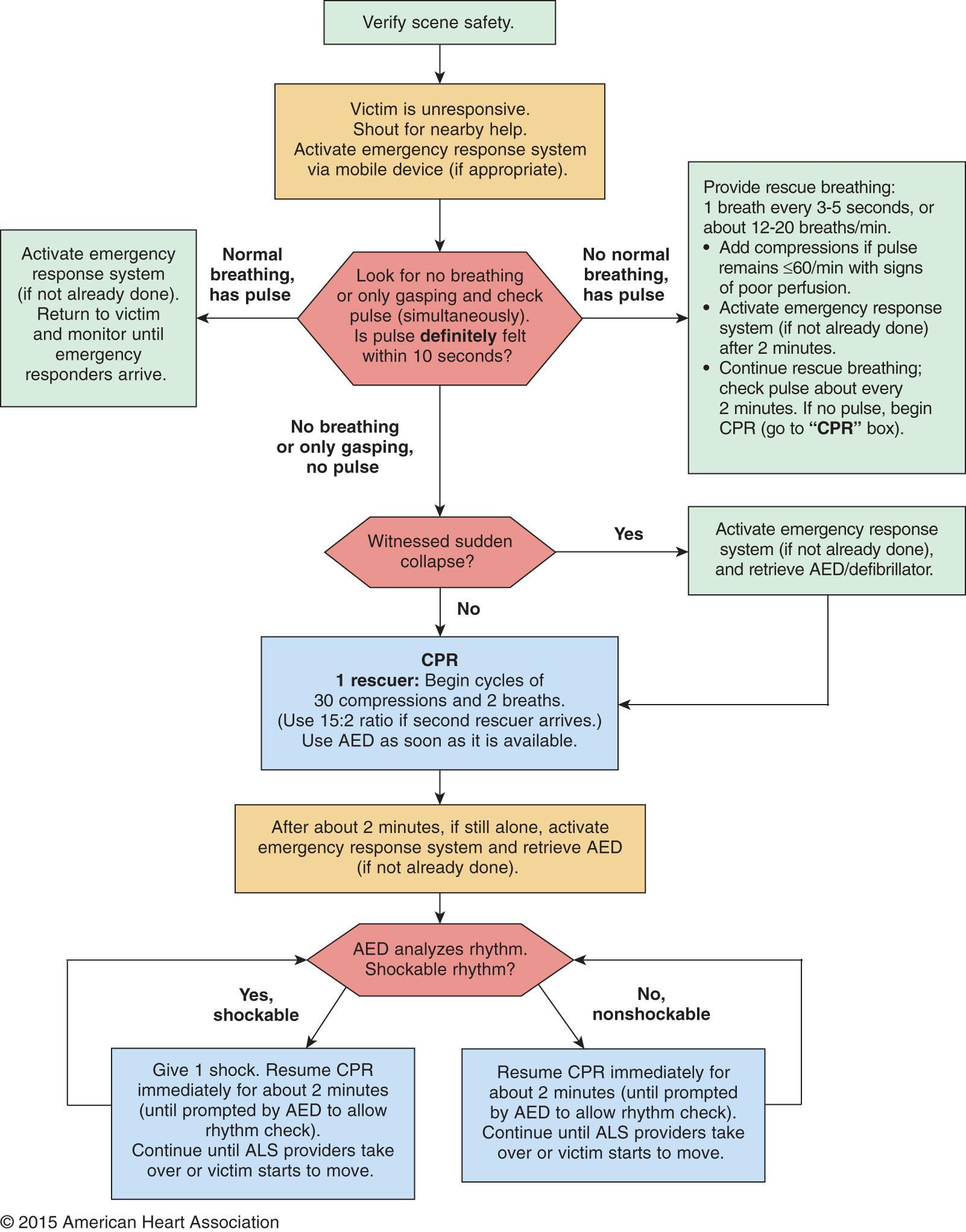 Fig. 81.1, Basic life support (BLS) healthcare provider: pediatric cardiac arrest algorithm for the single rescuer—2015 update.