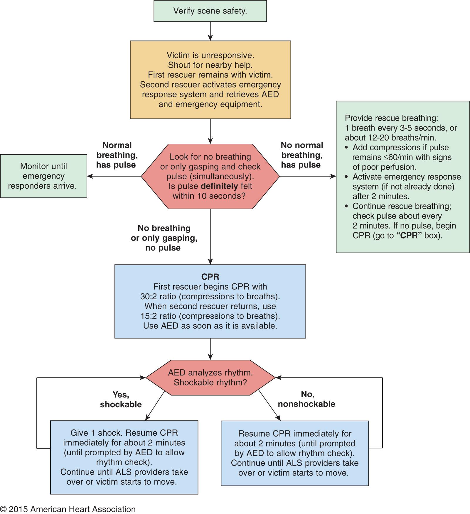 Fig. 81.2, Basic life support (BLS) healthcare provider pediatric cardiac arrest algorithm for 2 or more rescuers—2015 update.