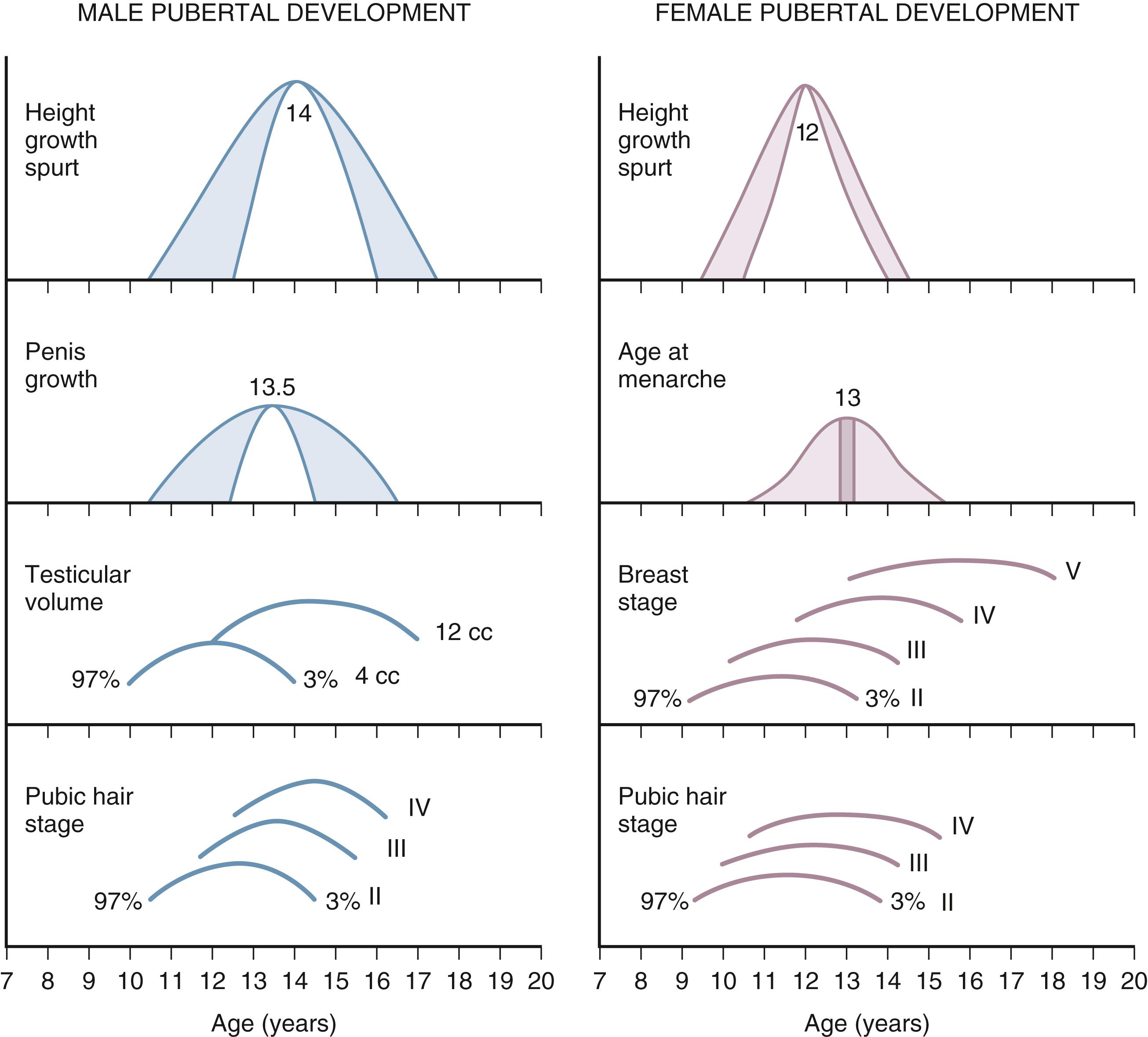 Fig. 9.3, Schematic representation of the onset of male and female puberty.