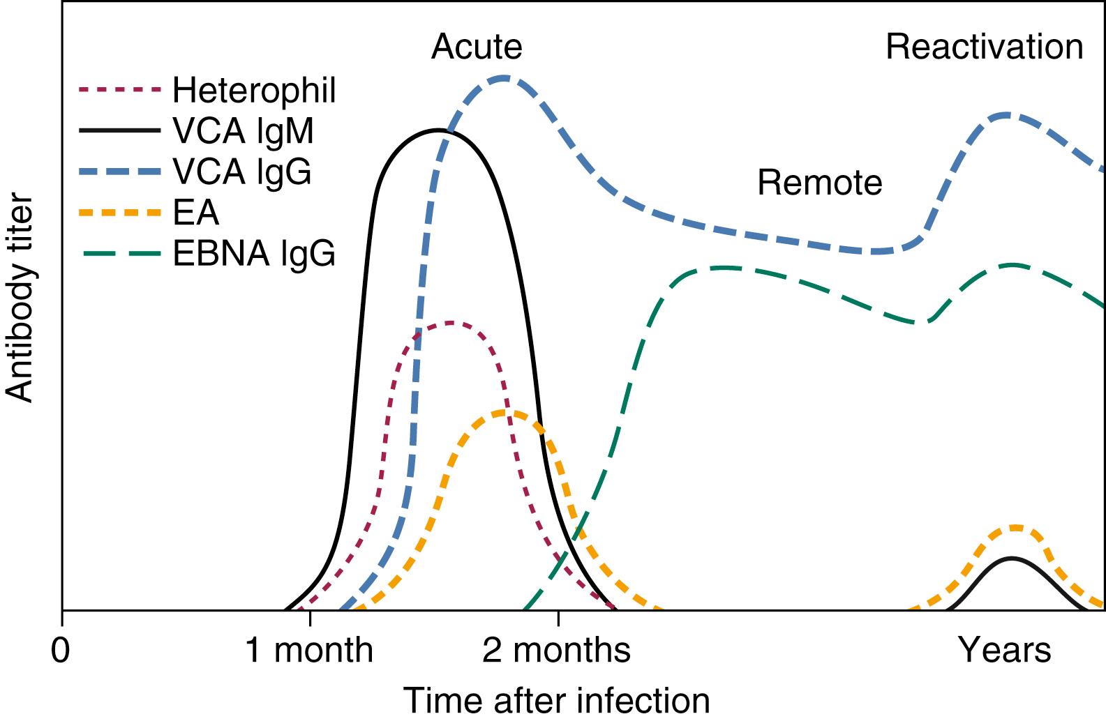 Fig. 22.3, Response time in diagnosis of Epstein-Barr virus infection. EA, early antigen; EBNA, EBV nuclear antigen; Ig, immunoglobulin; VCA, viral capsid antigen.