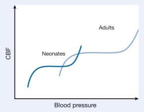 Fig. 20.2, Autoregulation of cerebral blood flow (CBF) in children. The slope of the autoregulatory curve drops and rises significantly at the lower and upper limits of the curve, respectively, and is shifted to the left in the neonate and small child.