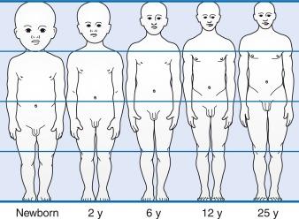 Fig. 20.3, The head size and surface area is proportionately greater in infants than in adults. y, years.