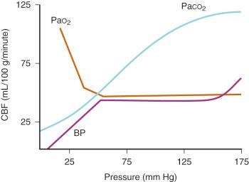 FIGURE 26.3, The effects of increasing mean blood pressure ( BP ), arterial partial pressure of oxygen ( Pa o 2 ), and arterial partial pressure of carbon dioxide ( Pa co 2 ) on cerebral blood flow ( CBF ) in the normal brain.