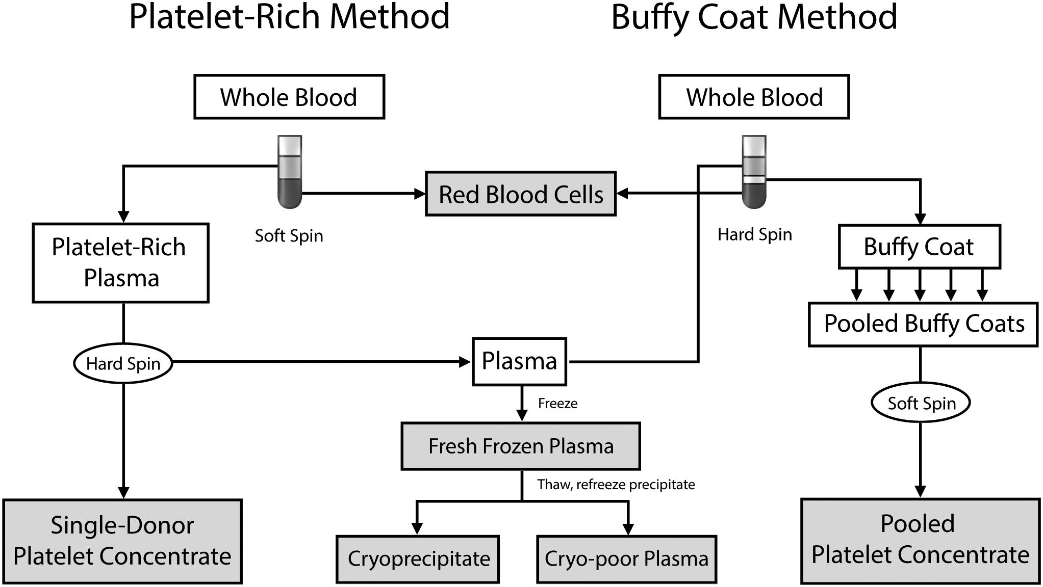 Figure 35.1, Whole blood processing.