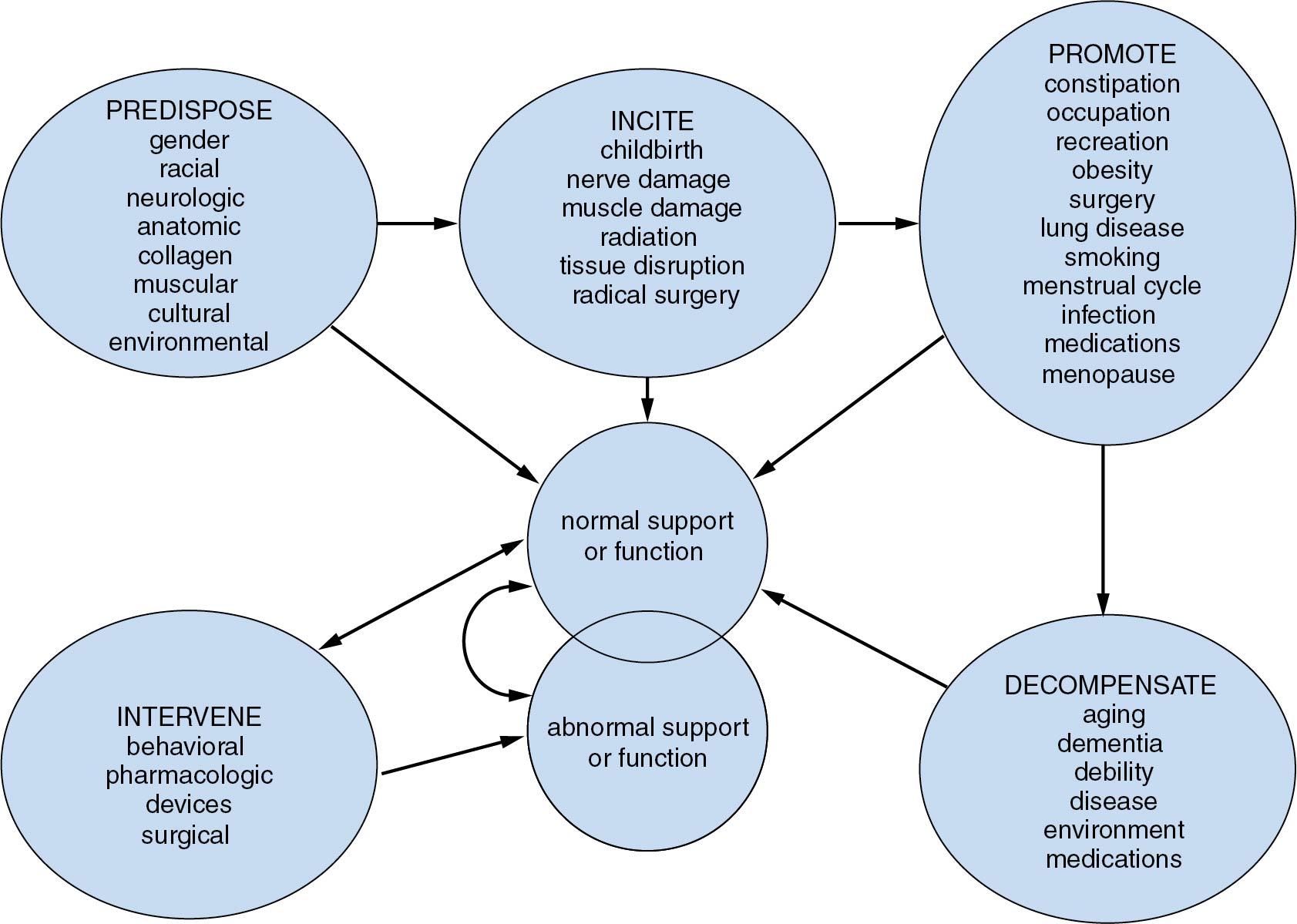 Fig. 20.11, Model for the development of pelvic floor dysfunction in women.