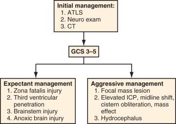 Figure 27.4, Triage flowchart for prognosis and management of penetrating brain injury.