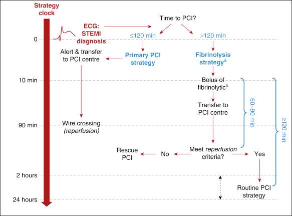 Fig. 20.10, Maximum target times according to reperfusion strategy selection in patients presenting via emergency medical service or in a non-percutaneous coronary intervention (PCI) center. ECG, Electrocardiogram; STEMI, ST-segment elevation myocardial infarction. a If fibrinolysis is contraindicated, direct for primary PCI strategy regardless of time to PCI. b 10 min is the maximum target delay time from STEMI diagnosis to fibrinolytic bolus administration; however, it should be given as soon as possible after STEMI diagnosis (after ruling out contraindications); IV, intravenous.