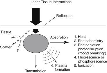 FIGURE 1, Effects of laser light on tissue.