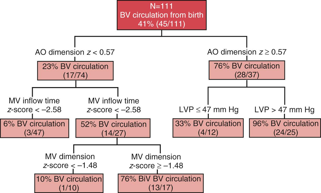 Fig. 10.3, Classification and regression tree analysis for likelihood of biventricular outcome following fetal aortic valvuloplasty among live-born patients. AO , Ascending aorta; BV , biventricular; MV , mitral valve; LVP , left ventricular pressure.